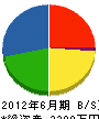 埼玉情報 貸借対照表 2012年6月期