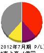 櫻井技研工業 損益計算書 2012年7月期