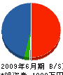岡崎塗装工業 貸借対照表 2009年6月期