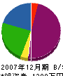 塩田建設 貸借対照表 2007年12月期