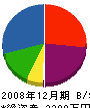 システム平野 貸借対照表 2008年12月期