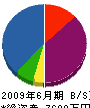 エコ・九州 貸借対照表 2009年6月期