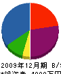 矢島設備 貸借対照表 2009年12月期