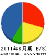 藤田電機工業 貸借対照表 2011年6月期
