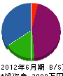 竹内電気 貸借対照表 2012年6月期