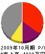 九州レジン工業 損益計算書 2009年10月期