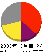 櫻井 損益計算書 2009年10月期