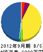 富山アムズ 貸借対照表 2012年9月期