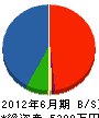 日本緑地 貸借対照表 2012年6月期