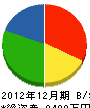 佐藤電気商会 貸借対照表 2012年12月期