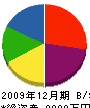 新井 貸借対照表 2009年12月期