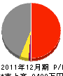 Ｔ・Ｐ・Ｓ 損益計算書 2011年12月期