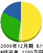 西山建設 貸借対照表 2008年12月期