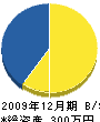 藤井組 貸借対照表 2009年12月期