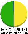上野電気商会 貸借対照表 2010年6月期
