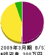 石山電気 貸借対照表 2009年3月期
