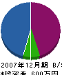 坂元工務店 貸借対照表 2007年12月期