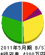 藤田組 貸借対照表 2011年5月期