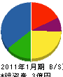 サン電通 貸借対照表 2011年1月期