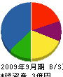 ワタナベ建装 貸借対照表 2009年9月期