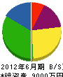 佐野水道工業 貸借対照表 2012年6月期