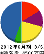 藤川産業 貸借対照表 2012年6月期