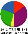 丸昭土木 貸借対照表 2012年5月期