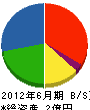 日本海技術コンサルタンツ 貸借対照表 2012年6月期