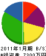 小野澤建設 貸借対照表 2011年1月期