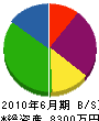 稲田組 貸借対照表 2010年6月期