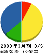 染谷工務店 貸借対照表 2009年3月期