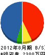 柴田電機 貸借対照表 2012年8月期