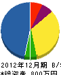 大嶋造園 貸借対照表 2012年12月期