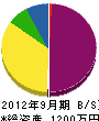 鈴木総合建設 貸借対照表 2012年9月期