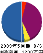 津島工業 貸借対照表 2009年5月期