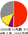 望月管工 損益計算書 2009年12月期