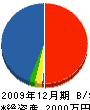 峯田建築 貸借対照表 2009年12月期