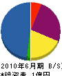 田中組 貸借対照表 2010年6月期