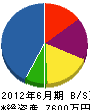 丸誠工業 貸借対照表 2012年6月期