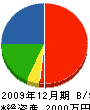 坂本塗装店 貸借対照表 2009年12月期