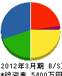 若竹実業 貸借対照表 2012年3月期