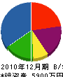 東京電子サービス 貸借対照表 2010年12月期