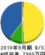 櫻文工業 貸借対照表 2010年9月期