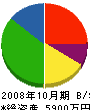 カタデン 貸借対照表 2008年10月期