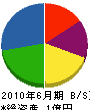 碓井電気商会 貸借対照表 2010年6月期