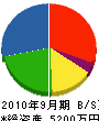 昭和レジン 貸借対照表 2010年9月期