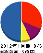 新東京エンジニアリング 貸借対照表 2012年1月期