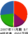 大龍産業 貸借対照表 2007年11月期