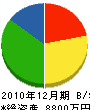 佐藤電気商会 貸借対照表 2010年12月期