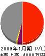 あゆみ工務店 損益計算書 2009年1月期